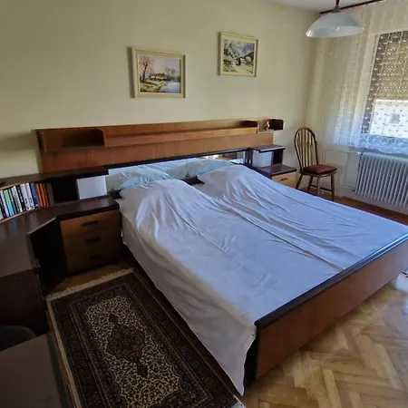 Ajdna Apartman Žirovnica