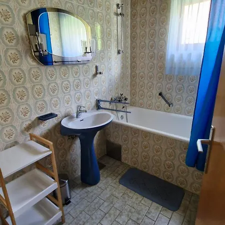 Ajdna Zirovnica